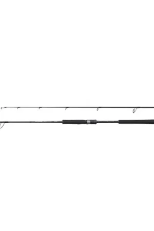 Acheter Direct Canne mer Shimano 20 Game Type J 1.83m (250g)