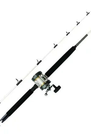 Offre Spéciale Mitchell Performance 1.80m (15-40lbs)