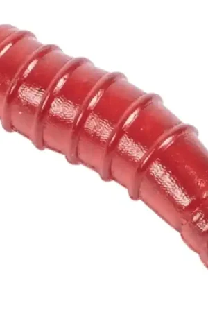 Asticots Artificiels Korum Floating Grubs (40 pièces) Offre Limitée