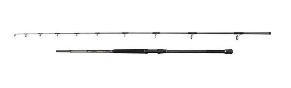 Canne Bateau Penn Regiment IV Uptide 1002 3.04m (70-300g) Nouvel Arrivage