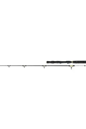 Nouveauté Canne silure WFT Cat Buster Vertical Spin 1,90m (50-220g)