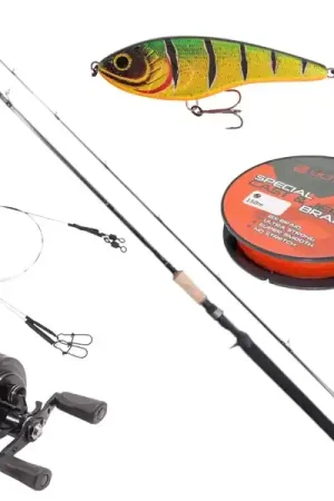 Réduction Ultimate Pike Baitcasting Set