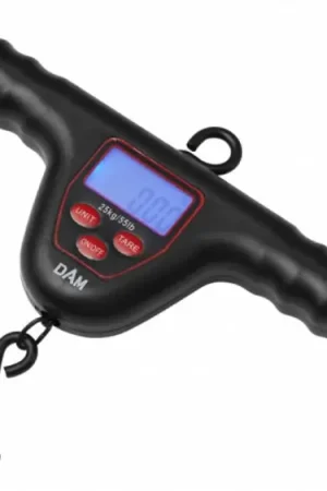 Dam Digital Scale Meilleure Vente