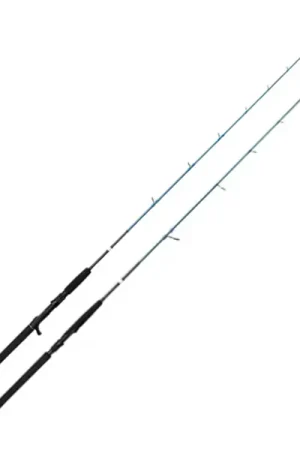 Canne Savage Gear SGS2 Jigging Soldes