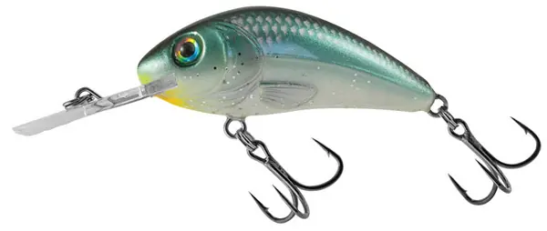 Salmo Rattlin Hornet 5,5 cm Quantité Limitée