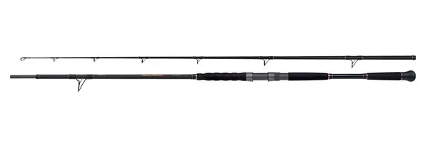 Acheter En Ligne Canne Silure Shimano Beastmaster Catfish Multi 2.3m (200g)