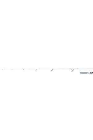 Canne Bar Shimano Stradic Spinning Seabass Produit De Marque