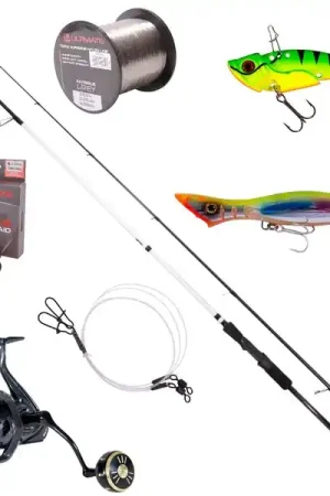 Ensemble de Pêche au Bar Ultimate Bluecore Seabass Lure 2.90m (15-40g) Usine Directe