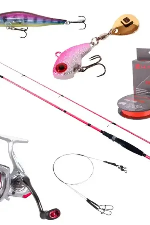 Offre Du Jour Ultimate Princess Spin Set