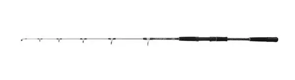 Solde Canne Mer Mitchell Tanager SW Jig 1.60m (100-250g)