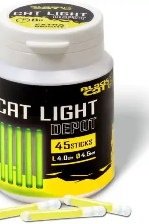 Black Cat Cat Light Depot Top Vente