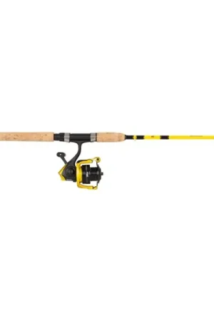 Achetez Aujourd'hui Abu Garcia Revolution Impact Spin Combo
