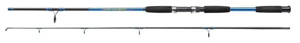 Must-Have Canne Spinning Shakespeare Firebird