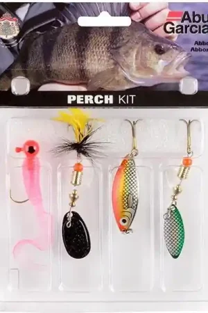 Kit Abu Garcia Perch Nouvel Arrivage