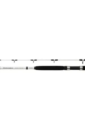 Canne Bateau Shimano Vengeance AX Boat 2,40 m (300 g) Offre Limitée