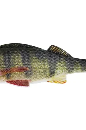 Westin Original Perch Shad 7cm Real Perch (2 pcs) Commander Vite