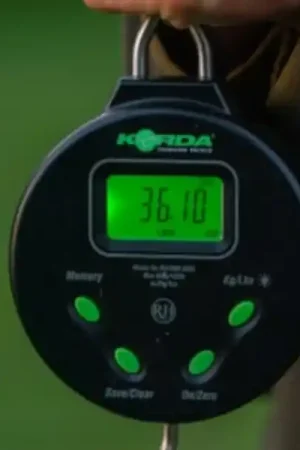 Dernière Chance Korda Digital Scale 60 kg