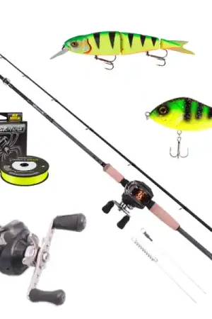 Fox Rage Warrior 2 Brochet Cast Set avec Moulinet Casting Spro, Tresse et plus ! Promotion