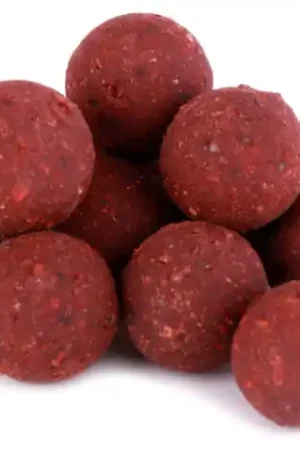 Premium Readymade Food Source Bouillettes en 15 et 20 mm Seulement Aujourd'hui