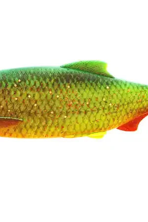 Usine Directe Westin Ricky The Roach Shadtail 7cm (2pcs)