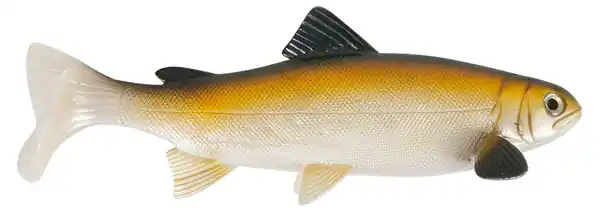Pas Cher Uni Cat Trout 20cm