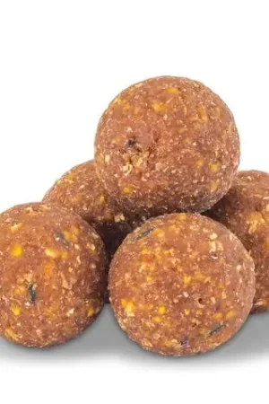 Bouillettes Anaconda AI Carp R2 Cream Noix Tigrée 1kg Nouvel Arrivage