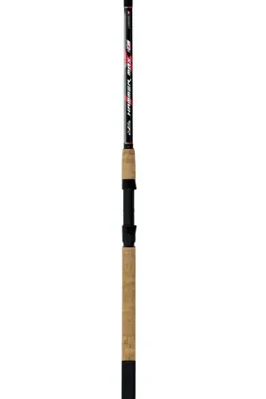 Canne bolognaise Trout Master Special Colmic 3.9m (1-4g) Petit Prix