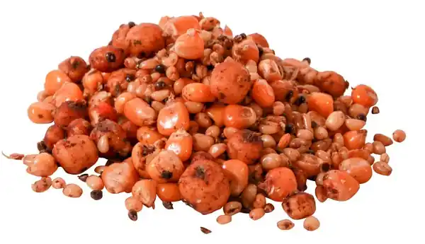 Ready to Fish Particle Mix - 2,5kg Marque
