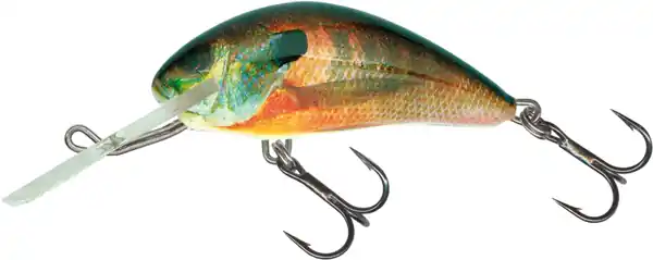 Salmo Hornet 4cm Sinking Prix Cassé