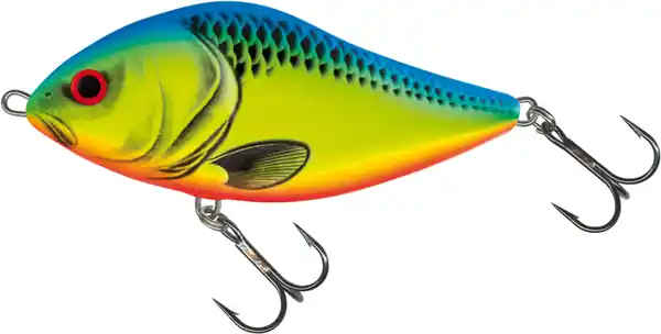 Meilleur Choix Salmo Slider Floating 10cm