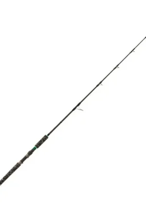 Canne à silure Zeck V-Stick 1.72 m (200g) Bon Marché