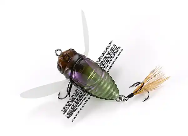 DUO Realis Shinmushi Marque