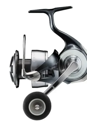 Moulinet Spinning Daiwa 24 Certate Livraison Express