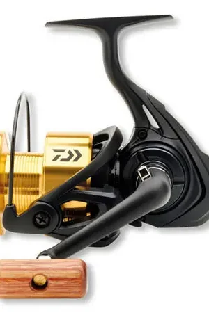 Moulinet Daiwa 17 GS LTD Achetez Aujourd'hui