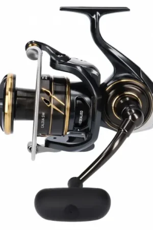 Pas Cher Moulinet mer Daiwa Caldia SW