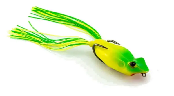 Jackson STL Pop Frog 160 Expédié Aujourd'hui