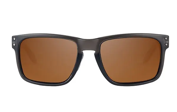 Meilleur Choix Lunettes de soleil Fortis Eyewear Bays Brown 247